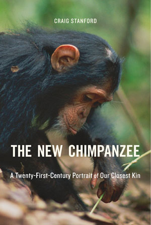 stanford_new_chimp